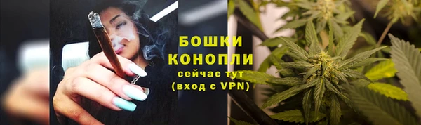 apvp Вяземский