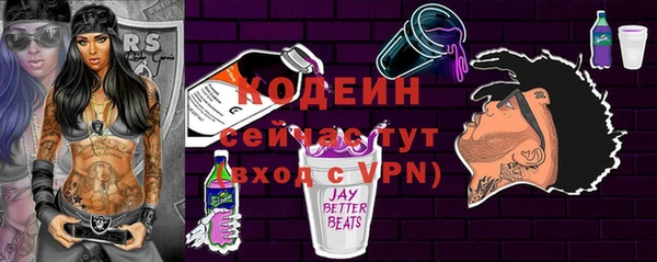 apvp Вяземский